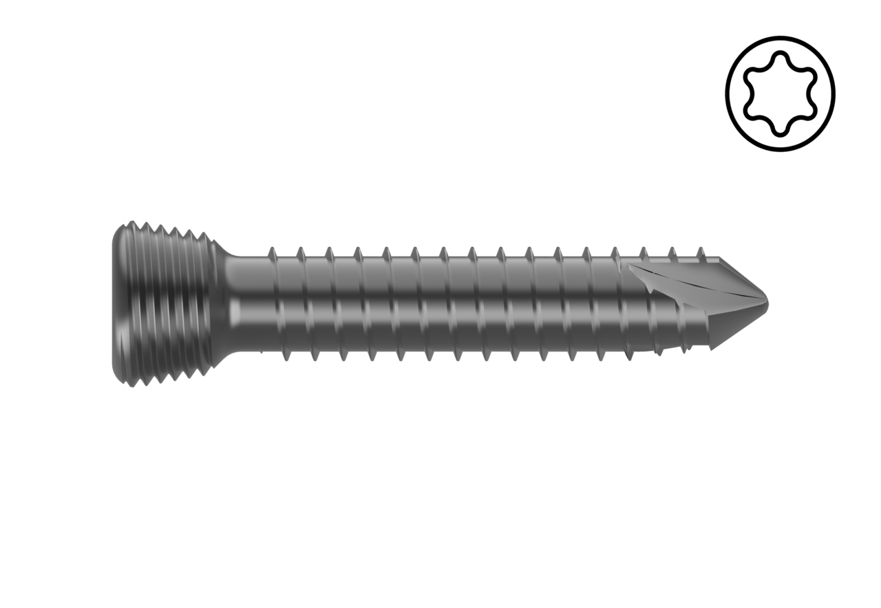 /storage/photos/1/madiha-ortho images/Screw/Locking screw/2.5 mm locking screw star Hex.png
